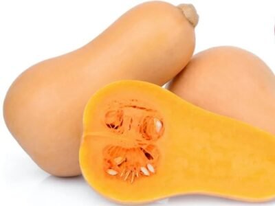 Squash