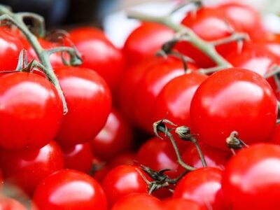 Tomatoes
