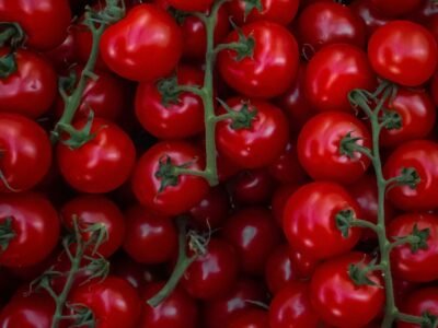 Cherry Tomato