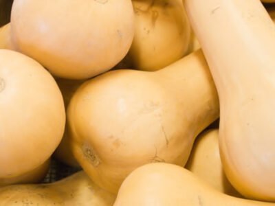 Waltham Butternut