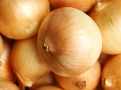 Texas Early Grano